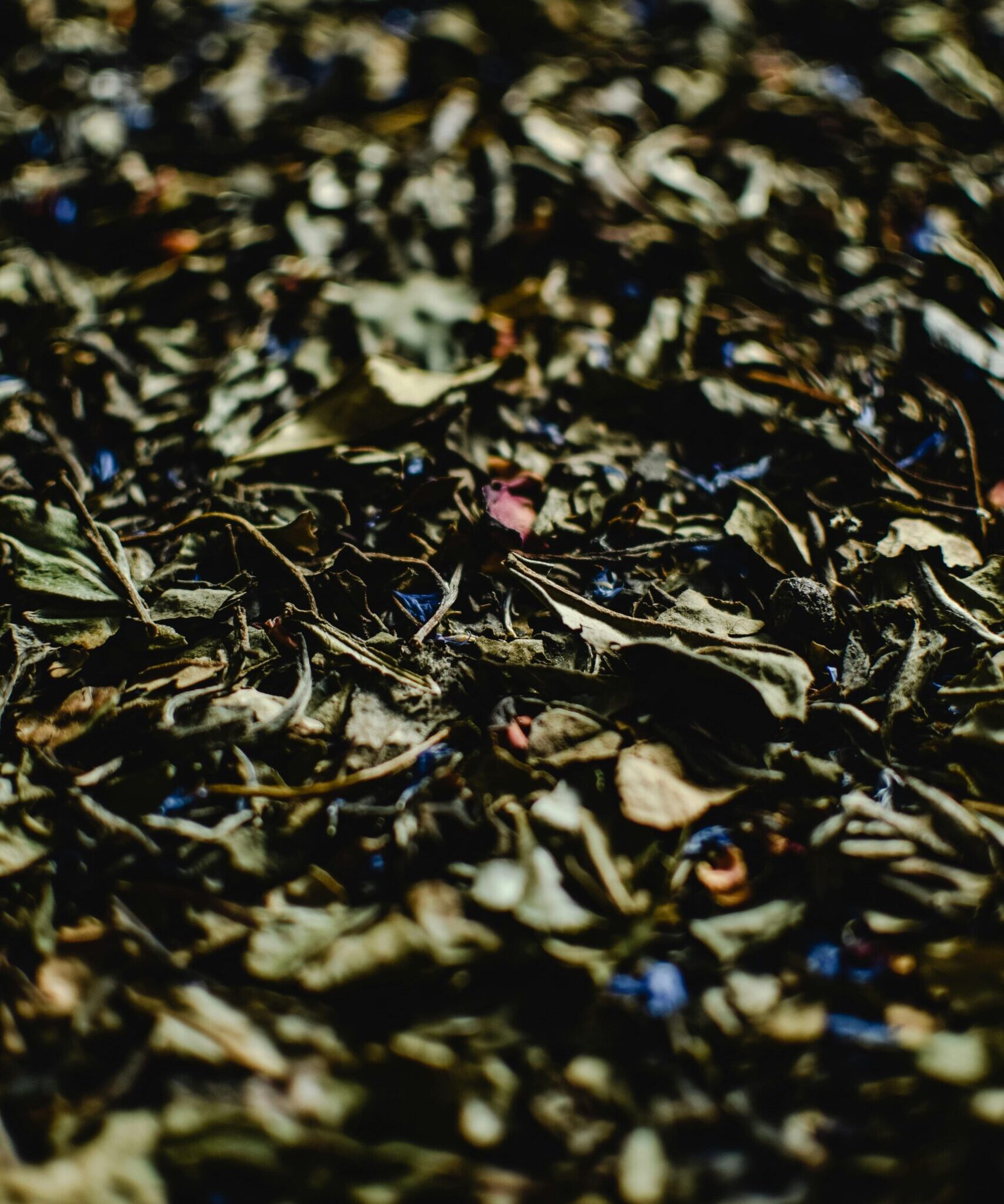 pexels-photo-5501116-5501116
